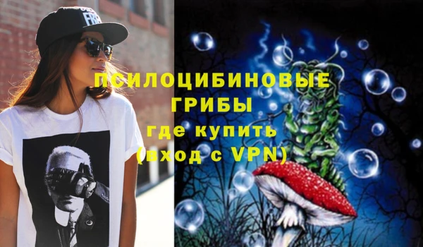 экстази Арсеньев