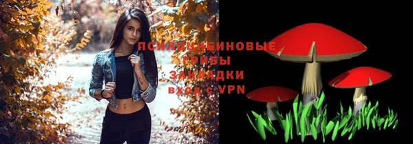 экстази Арсеньев
