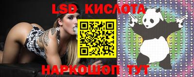 ешки Заводоуковск