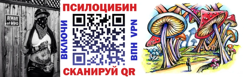 Галлюциногенные грибы Cubensis Новороссийск