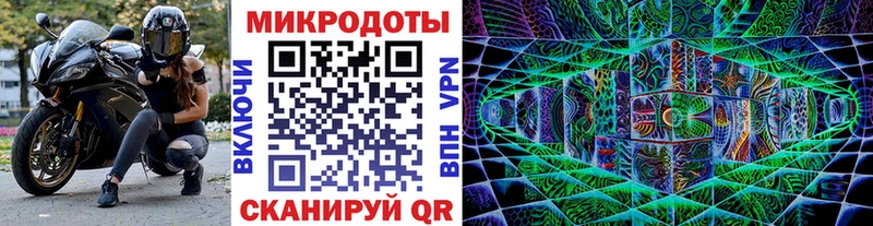 Псилоцибиновые грибы Psilocybe Новороссийск