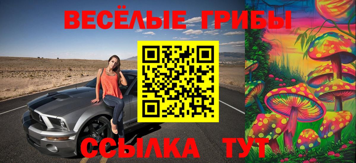 Галлюциногенные грибы Psilocybe  Вход с VPN  Галлюциногенные грибы Magic Shrooms  Новороссийск 