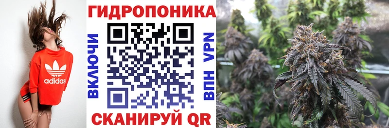 где купить наркоту  Новороссийск  OMG ссылки  Конопля планчик 